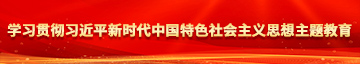 操白丝短裙骚货学习贯彻习近平新时代中国特色社会主义思想主题教育